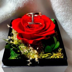 Knuckle Ring for Women